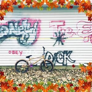 Meet your Posher, Cody